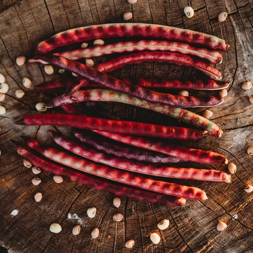 Miniatura 5 de Top Pick Brown Crowder Pea/Cowpey, 50 semillas, variedad tradicional y polinizada abierta, cultivadas en Estados Unidos, semillas de vegetales sin