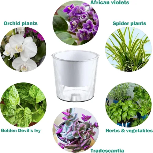 Miniatura 4 de Pack de 6 Macetas de 11.4 cm de Riego Automático y Transparentes para Plantas de Interior, Macetas de Plástico con Mecha para Orquídeas Medianas