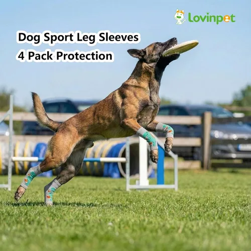 Miniatura 8 de LovinPet Paquete de 4 rodilleras para perro, calentadores de piernas estilo dinosaurio para perros medianos y grandes, elásticos en 4 direcciones