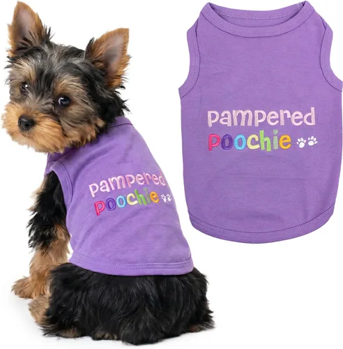 Miniatura 26 de Parisian Pet - Camiseta bordada para perros y gatos, con texto en inglés Sexy and I Know It, XS Sexy y lo sé