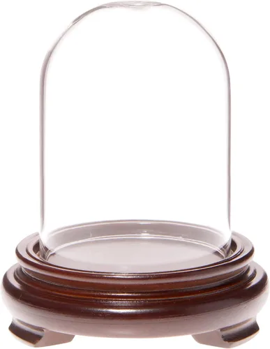Miniatura 3 de Plymor Cúpula de cristal de 2.5 x 3.5 pulgadas (base con patas de chapa de madera negra)