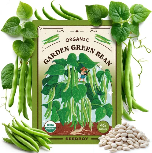 Miniatura 14 de Seedboy Semillas orgánicas de tomate Beefsteak arcoíris para plantar en interiores y exteriores, paquete de semillas de vegetales sin OMG