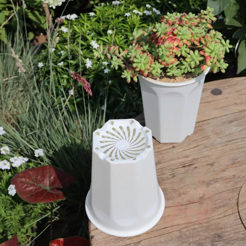 Miniatura 5 de Juego de 8 macetas de plástico blanco de 6.10 pulgadas para vivero profundo y semillero para suculentas, cortes y trasplantes