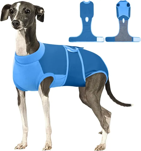 Miniatura 20 de Kuoser Traje de recuperación para perros, traje suave de esterilización para perros para recuperación de cirugía femenina, traje de recuperación