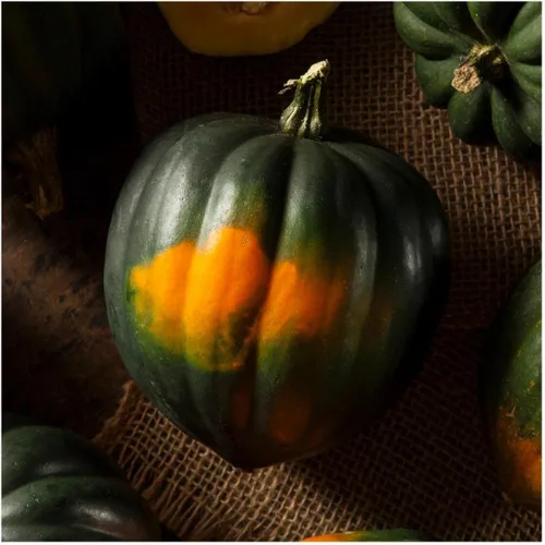 Miniatura 2 de Everwilde Farms - Semillas orgánicas de calabaza de invierno de bellota King de 1 onza - Paquete Gold Vault