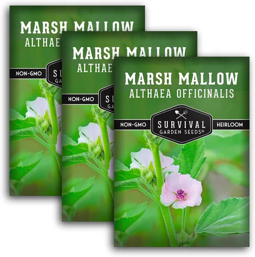 Miniatura 10 de Semillas de malvavisco para plantar, semillas de jardín de supervivencia (paquete de 1) Marsh Mallow Medicinal Herb, Althaea Officinalis