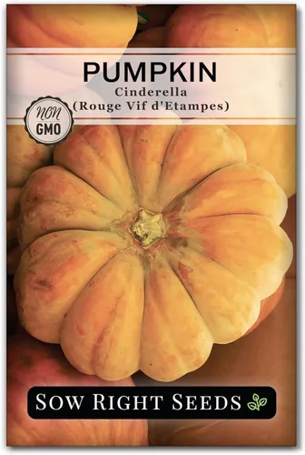 Sow Right Seeds - Semillas de calabaza Cenicienta para plantar - Paquete de reliquia sin OMG para plantar un huerto doméstico al aire libre -