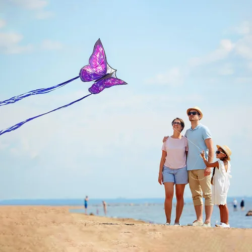 Miniatura 6 de Mint's Colorful Life Butterfly Kite for Kids & Adults, 55" x 28" Large Kite for Boys & Girls, Easy to Fly Kites for Beginners, Beach Single Line