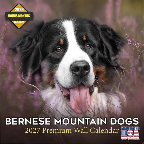 Miniatura 190 de Calendario 2025 2026 de cachorros Cocker Spaniel - Calendario mensual de pared de raza de perro - 12" x 24" abierto - Papel grueso sin sangrado