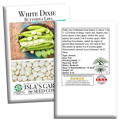 Miniatura 7 de White Dixie Butterpea Lima Bush Semillas de frijol (Phaseolus lunatus) – Más de 25 semillas tradicionales sin OMG de Isla's Garden Seeds, granos