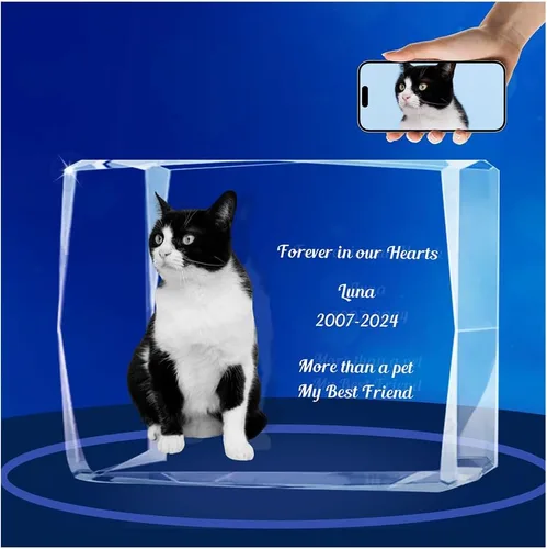 Miniatura 7 de Marco de fotos de cristal 3D personalizado con luz nocturna para mascotas conmemorativo con mis fotos, regalo de aniversario de Navidad