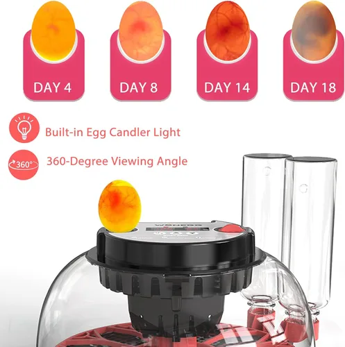 Miniatura 2 de Incubadoras para incubar huevos, incubadora de 12 huevos con giro automático de huevos y control de humedad, vista de 360°