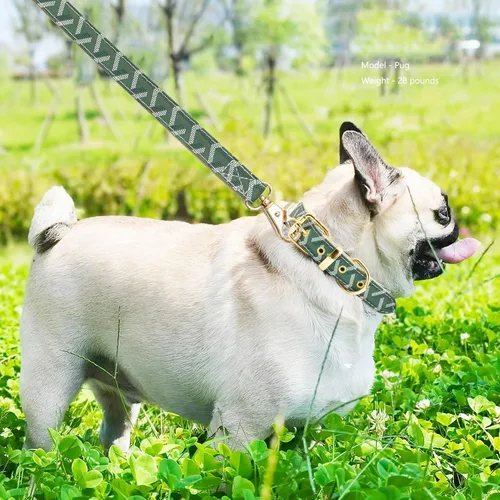 Miniatura 4 de Juego de collar y correa de cuero para perro, correas de collar de perro con patrón de cuadros, hebilla de metal ajustable y duradera para perros