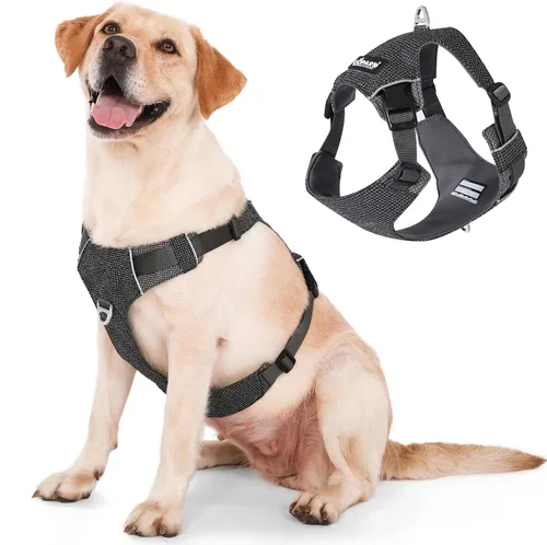 Miniatura 6 de LIOPARD Arnés para perro, arnés para mascotas fácil de caminar sin tirones, con 2 clips para correa, chaleco reflectante suave acolchado ajustable