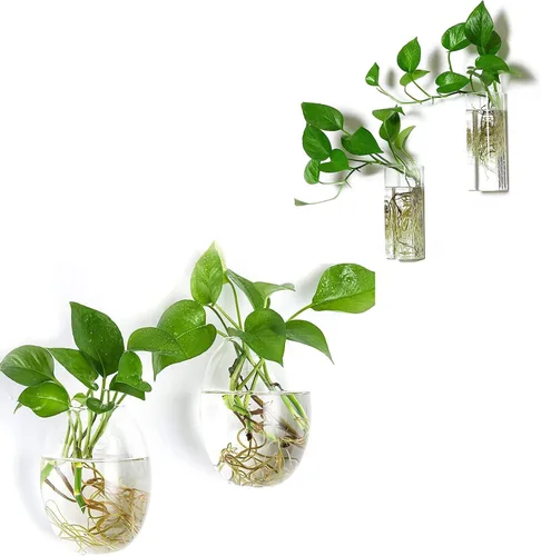 Kingbuy Maceta de cristal para colgar en la pared, florero, estación de propagación de plantas hidropónicas, decoración de jardín, oficina en casa,