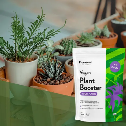 Miniatura 9 de Florasoul® Alimento para plantas de interior inodoro (1.1 libras por 130 galones), fertilizante orgánico de algas marinas para plantas