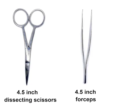 Miniatura 2 de Juego de disección de lujo de 20 piezas en estuche de plástico para laboratorio de anatomía, biología y disección general