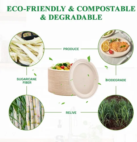 Miniatura 3 de Vplus Platos de papel ovalados 100% compostables 10 pulgadas 125 unidades Platos de papel desechables súper resistentes de bagazo natural 10