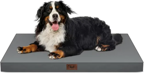 Miniatura 130 de Cama ortopédica de felpa para perros y cachorros medianos, camas impermeables para perros de 30 x 20 pulgadas con funda extraíble lavable, tapete