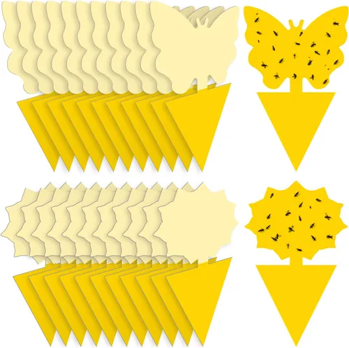 Landisun - Trampas adhesivas para moscas de la fruta y moscas de los hongos, 24 unidades, para plantas de cocina de interior y exterior, para moscas