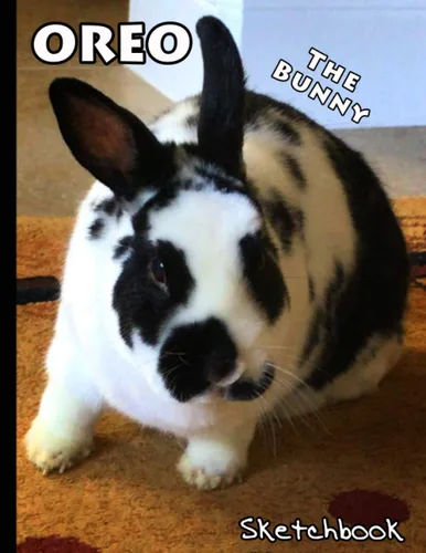 Oreo The Bunny Sketchbook: Bunny Rabbit Themed Cover Artist Book | Creative Doodling Blank Sketch Pad Tablet | 8.5” x 11”, 108 pages | Gifts for