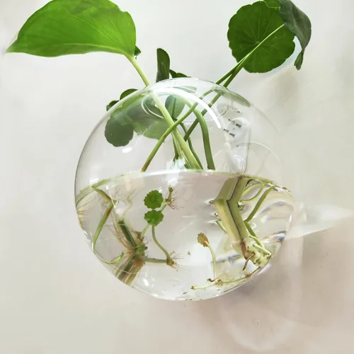 Miniatura 3 de Paquete de 6 jarrones colgantes de pared, estación de propagación de macetas de vidrio, terrario, 4.7 pulgadas para plantas de interior, decoración