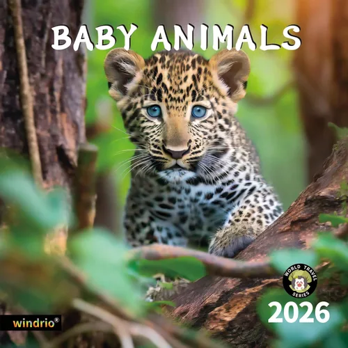 Calendario de Pared 2026, Calendario 2026, Noviembre 2025 - Diciembre 2026, Calendario de Pared de Animales Bebés, 12" x 24" Abierto, Meses de Baby