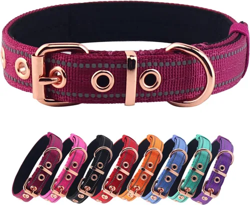 Miniatura 12 de Collar acolchado de neopreno para perros, collar de nailon para perros pequeños a grandes, resistente con hebilla de metal, reflectante