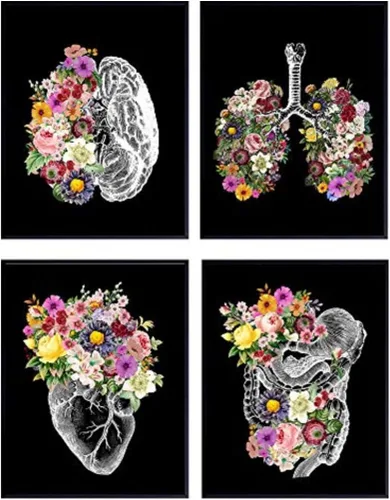 Órganos florales negros – Decoración de anatomía, arte de pared para el hogar, regalo para médico, enfermera, asistente médico, PA – Póster vintage