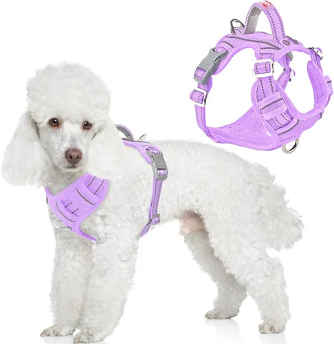 Miniatura 27 de BARKBAY Arnés para perro sin tirones con bolsillo para etiqueta de identificación, resistente, reflectante, fácil control para perros grandes
