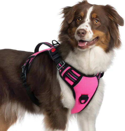 Miniatura 26 de rabbitgoo Arnés para perro de tamaño pequeño, arnés para mascotas sin tirones con mango acolchado suave, chaleco reflectante ajustable con 3