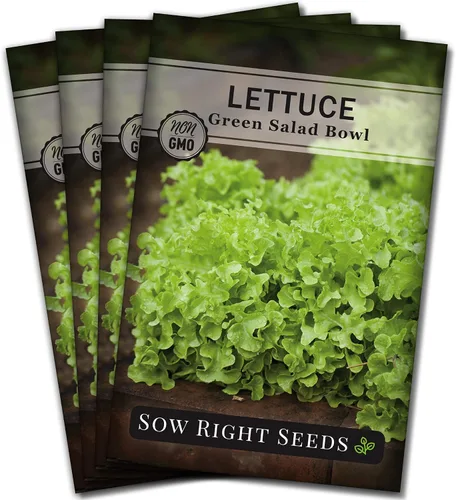 Sow Right Seeds - Ensaladera Semillas de lechuga de hojas verdes para plantar - Paquete de reliquia sin OMG con instrucciones para plantar un huerto