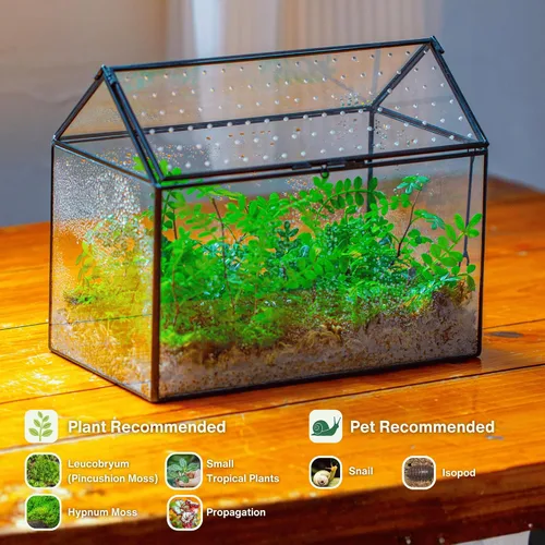 Miniatura 2 de NCYP Terrario de cristal con forma de casa con tapa acrílica, 10.2 x 5.9 x 8.2 pulgadas, caja de terrario geométrica grande de mesa para caracoles
