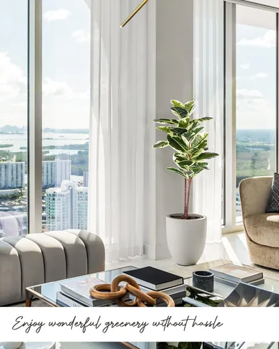 Miniatura 9 de FLOWORLD Planta de Árbol de Caucho Artificial de 43 pulgadas de Alto, Árbol de Ficus Sintético en Maceta, Decoración Tropical Falsa para Casa