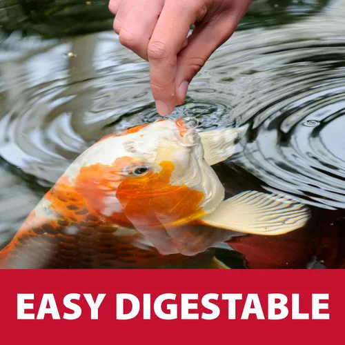 Miniatura 5 de The Pond Guy Spring & Fall - Alimento para peces con germen de trigo para Koi y Goldfish, pellets flotantes prémium para clima frío, fórmula