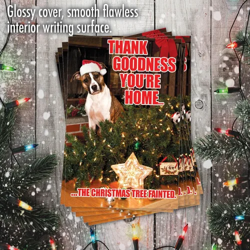 Miniatura 5 de NobleWorks Paquete a granel de 36 tarjetas de felicitación divertidas de Navidad con sobres, tarjetas divertidas en caja para perros y mujeres