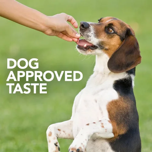 Miniatura 5 de Vet's Best Suplementos probióticos masticables suaves para perros Apoya la salud digestiva del perro Promueve un intestino saludable