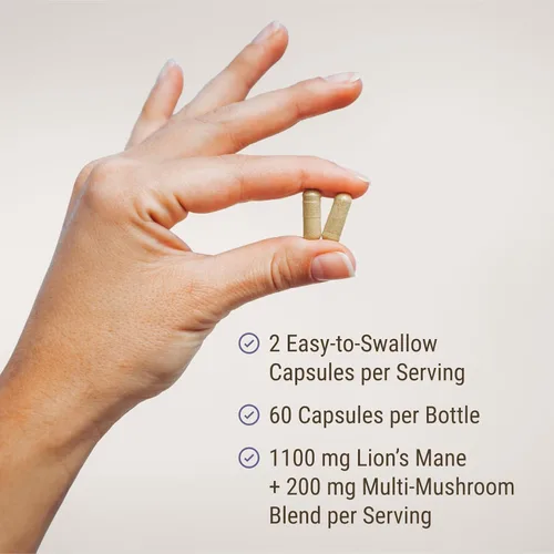 Miniatura 3 de Live Conscious Cápsulas de suplemento de hongos de melena de león para apoyo cerebral con melena de león, corderos, reishi y hongos de cola de pavo