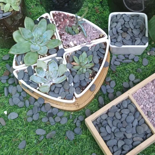 Miniatura 7 de Piedras de río de 2.4 libras para plantas y suculentas, paisajismo decorativo al aire libre y rocas de jardín de acuarios