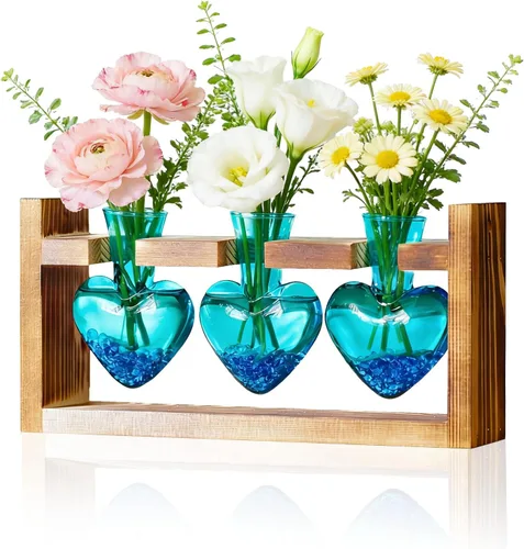 Miniatura 14 de Nacome Estaciones de propagación de terrarios de plantas: regalos del día de la madre para mamá, amantes de las plantas, mujeres, esposa, hija