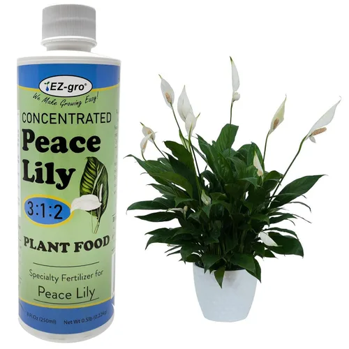 Miniatura 11 de EZ-GRO Alimento Líquido para Plantas de Higuera de Hoja de Violín - Botella de 8 oz Fertilizante NPK 3-1-2 para Plantas de Interior Nutrientes