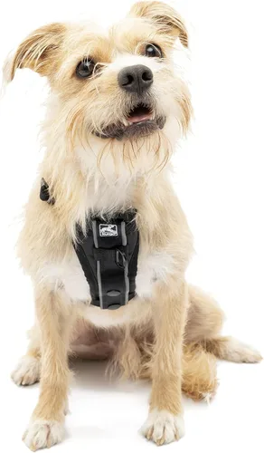 Kurgo Tru-Fit - Arnés inteligente para caminar para perros, ajuste cómodo, arnés ajustable, reflectante para mascotas, liberación rápida de la
