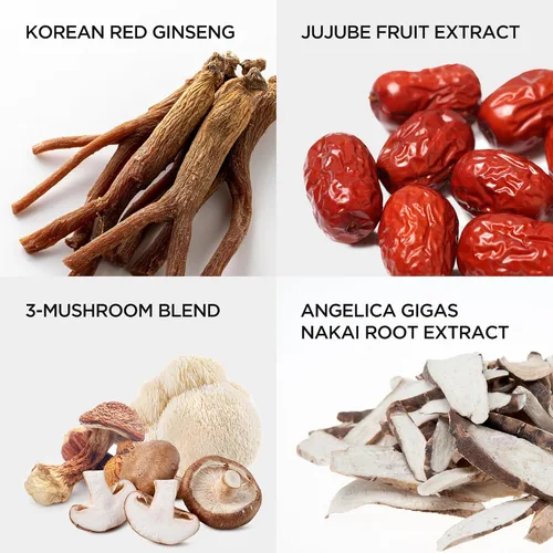 Miniatura 5 de JungKwanJang - Bebida energética de ginseng rojo coreano con 6 extractos botánicos, refuerzo diario para el sistema inmunológico y vitalidad
