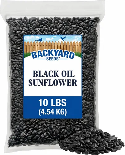 CountryMax Backyard Seeds Semillas de Girasol de Aceite Negro (10 libras)