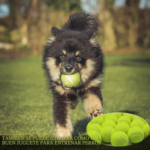 Miniatura 6 de Swingers Pelotas de tenis, pelotas de ejercicio de entrenamiento para mascotas, pelotas de tenis de práctica de alta elasticidad para principiantes