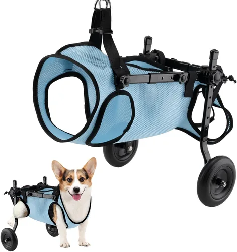 celestaura Silla de ruedas para perros para patas traseras, carrito para silla de ruedas para perros, sillas de ruedas para perros y gatos con patas