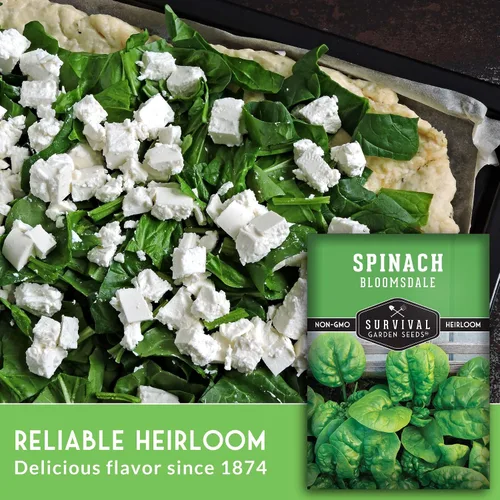Miniatura 3 de Bloomsdale - Semillas de espinaca para plantar, semillas vegetales tradicionales de hoja de bebé de rápido crecimiento para camas elevadas