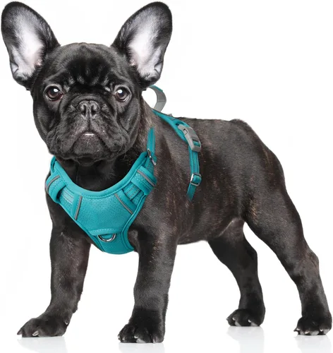Miniatura 44 de BARKBAY Arnés para Perro Sin Tirones Talla Grande Arnés Reflectante para Perro con Clip Frontal y Asa de Control Fácil para Caminar Entrenar Correr