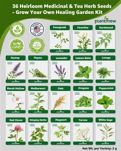 Miniatura 5 de Paquete variado de semillas de hierbas medicinales – 36 semillas de jardín de té de hierbas no transgénicas: manzanilla, lavanda, equinácea