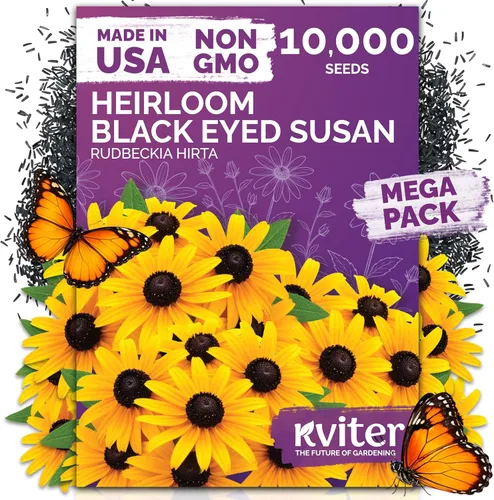 Miniatura 23 de KVITER 1600 semillas de pensamiento de los gigantes suizos para plantar (Viola wittrockiana) - Paquetes de semillas de colores mixtos Flores